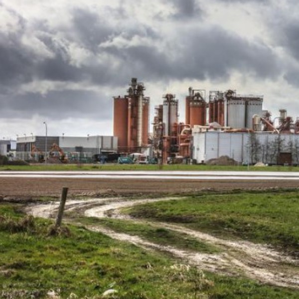 Bedrijven riskeren fikse boetes nadat arbeider val van acht meter